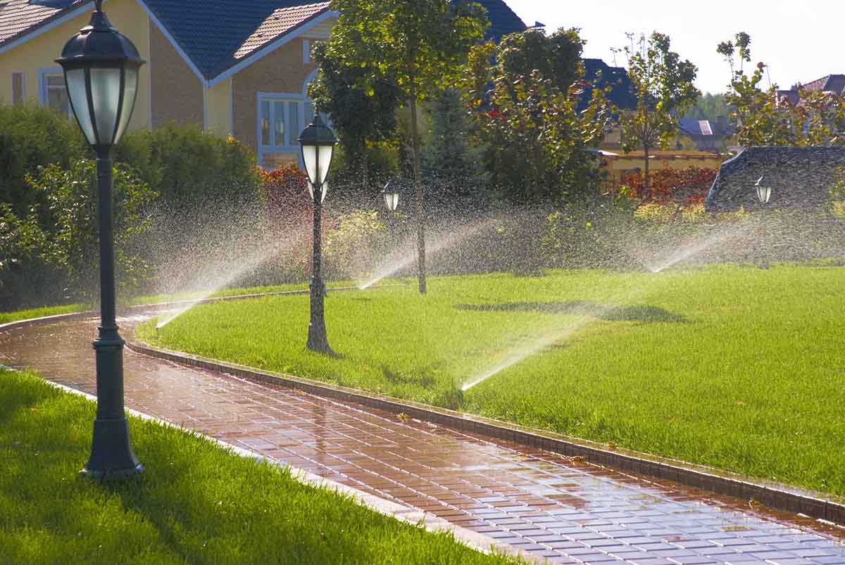 Irrigation System Installation in Lancaster project 1
