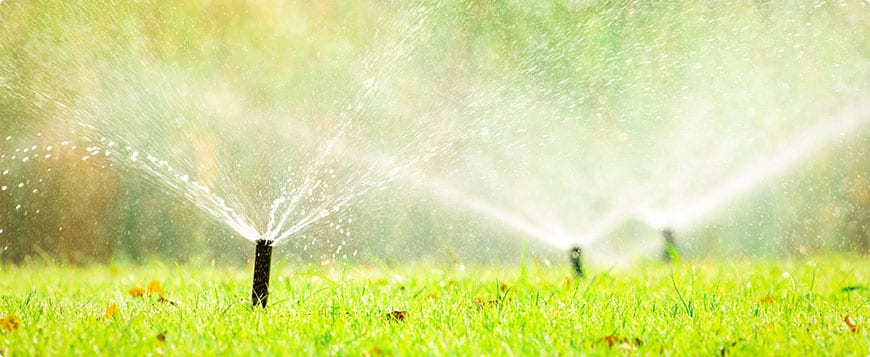 Irrigation System Installation in Lancaster project 6