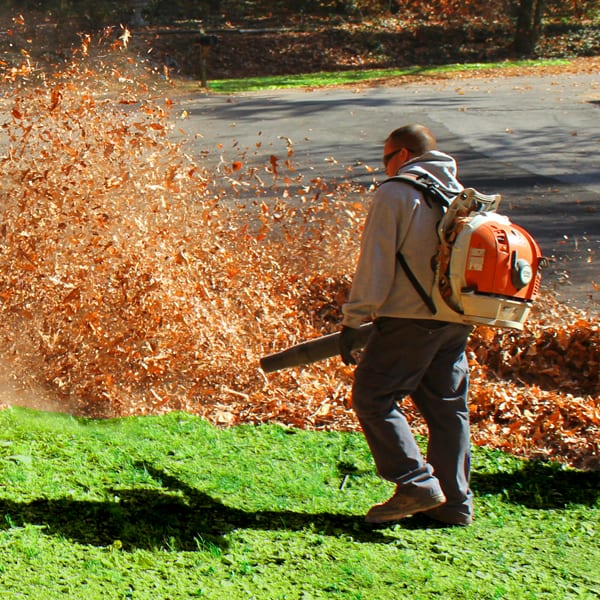 Leaf Removal in Lancaster project 4