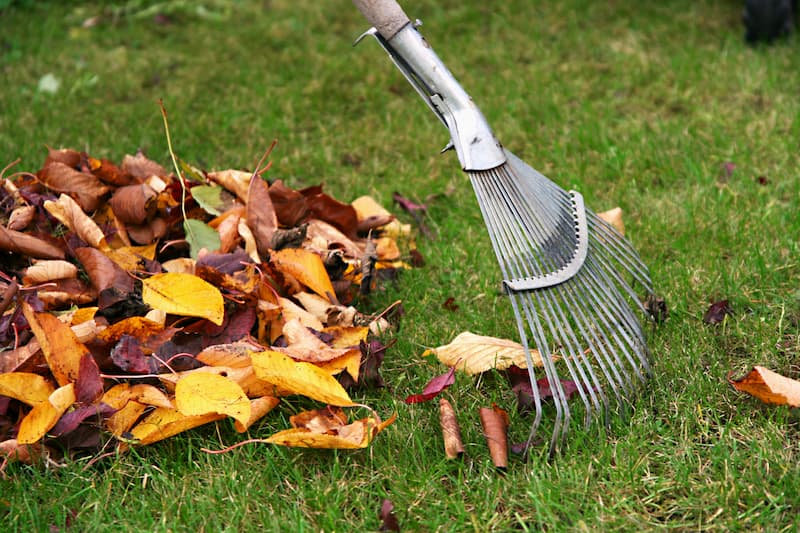 Leaf Removal in Lancaster project 5