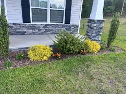 Tree & Shrub Planting in Murphy project 5