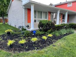 Tree & Shrub Planting in Murphy project 6