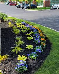 Tree & Shrub Planting in Murphy project 7