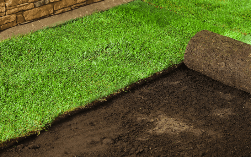 Sod Installation in Murphy project 1
