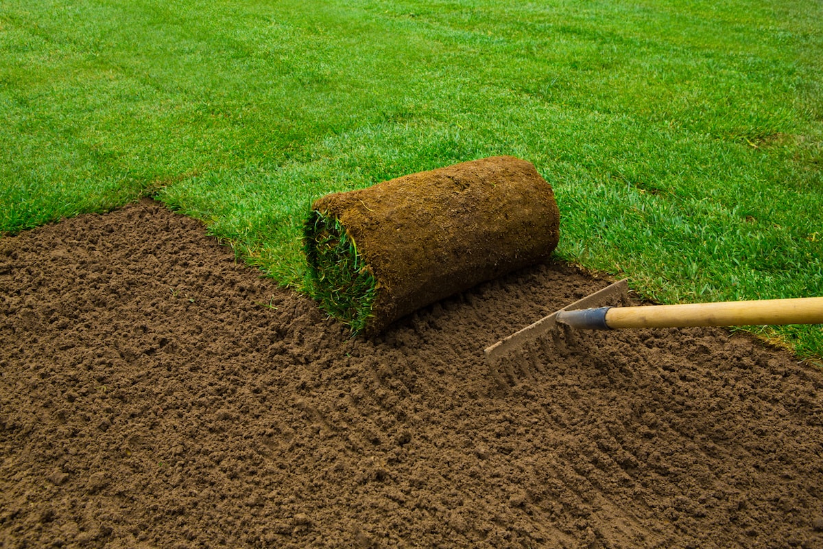 Sod Installation in Murphy project 3