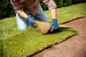 Sod Installation in Murphy project 4