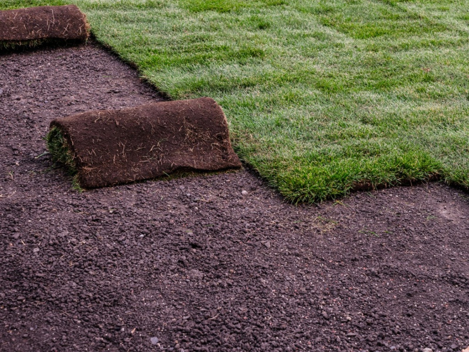 Sod Installation in Murphy project 6